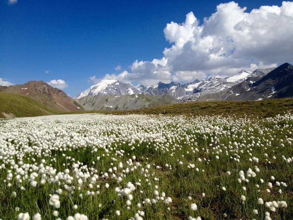 Albergo Quarto Pirovano Passo Stelvio Buitenkant foto